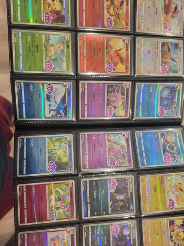 Chinese eevee binder lot - chinese,