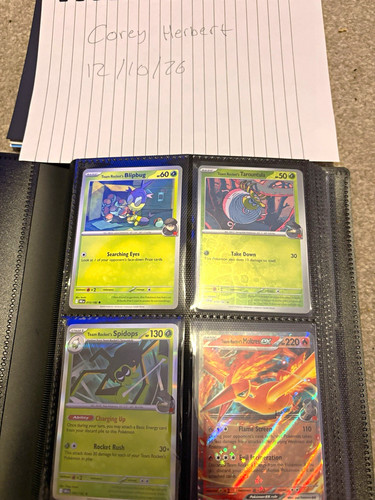 Pokémon tcg binder - pokémon, lot