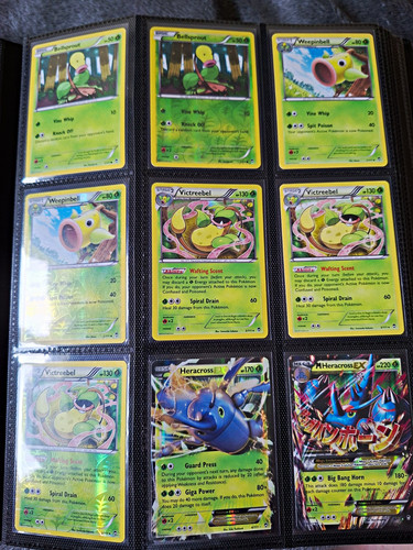 Pokémon tcg furious - xy,