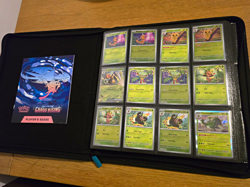 Pokémon tcg binder lot - pokémon,